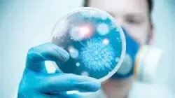 احذرها.. 7 أطعمة شائعة تلوث جسمك بجزيئات البلاستيك
